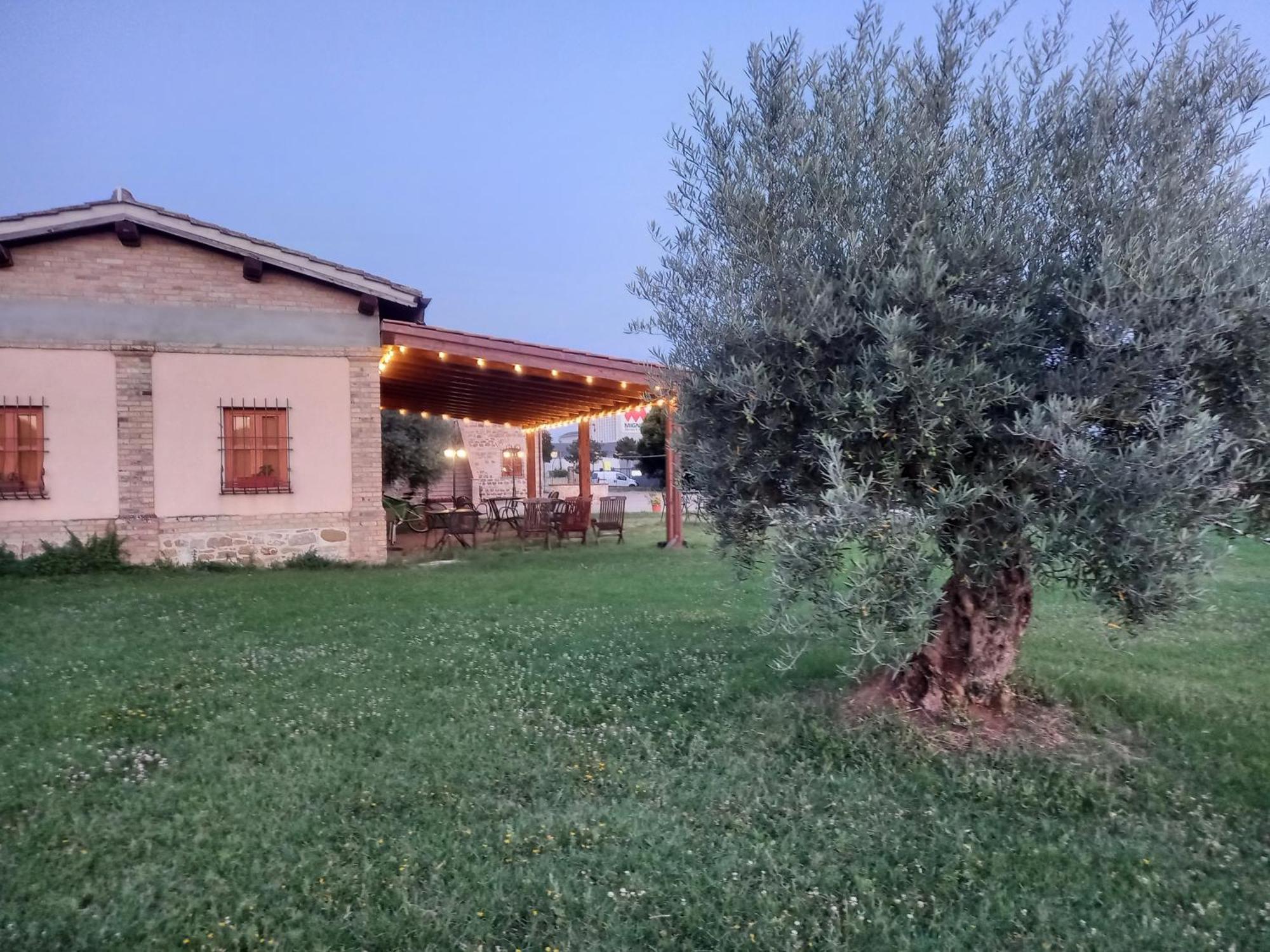 Alba Su Assisi